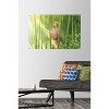 Trends International Fruits Basket - Kyo Soma Unframed Wall Poster Prints - 2 of 4
