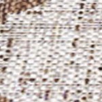 beige/brown