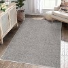 Modern Solid Textured Area Rug Machine Washable Stain Resistant Non-Slip Floor Cover Carpet - 2 of 4