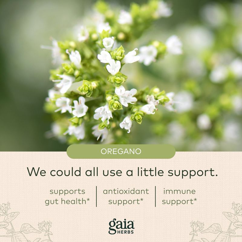 Gaia Herbs Oil of Oregano - Immune and Antioxidant Support Supplement with Oregano Oil, Carvacrol, and Thymol, 5 of 9