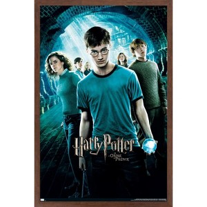 Trends International Harry Potter and the Order of Phoenix (French) Framed Wall Poster Prints - 1 of 4