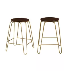 Set of 2 24" Winston Counter Height Barstools Elm/Gold - Carolina Chair & Table