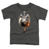 Toddler Boys' Star Trek Terran Empire T-Shirt Charcoal - 2 of 4