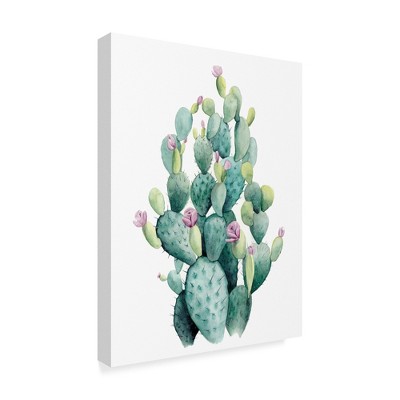 Trademark Fine Art -Grace Popp 'Desert Blooms I' Canvas Art