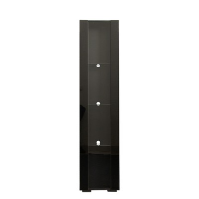 Vynxaria Black Bookshelf with Ample Storage and Modern Lighting