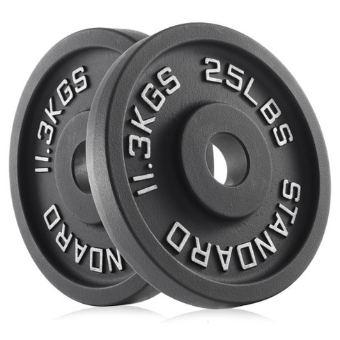 Philosophy Gym Set Of 2 Standard Cast Iron Olympic 2-inch Weight