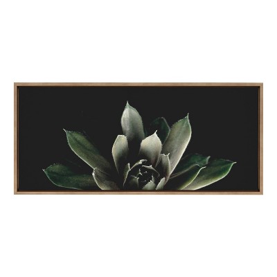 18" x 40" Sylvie Succulent 8 by Emiko and Mark Franzen of F2 Images Framed Wall Canvas Gold - Kate & Laurel All Things Decor