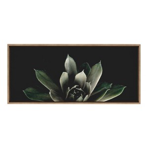 18" x 40" Sylvie Succulent 8 by Emiko and Mark Franzen of F2 Images Framed Wall Canvas Gold - Kate & Laurel All Things Decor - 1 of 4