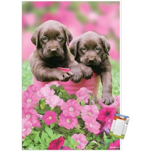 Trends International Keith Kimberlin - Labs Unframed Wall Poster Prints - 1 of 4