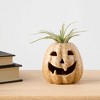Pumpkin Spirits Cream - Good Little Garden™ - 4 of 4