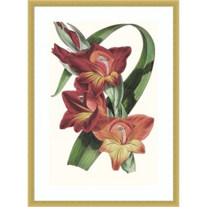 Amanti Art Paxton Tropicals II by Jennifer Paxton Parker Wood Framed Wall Art Print - 1 of 4