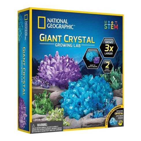 National Geographic Crystal Garden Science Kit : Target