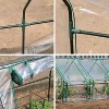 Miracle-Gro 8'x3' Mini Greenhouse Green/Clear - 4 of 4