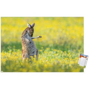 Trends International The Comedy Wildlife Photography Awards: Jason Moore - Air Guitar Roo Unframed Wall Poster Prints - 1 of 4