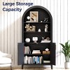 FURNIinspire Decorative Storage Cabinets High-Arched With Two Doors Three Shelves Simple Elegant Design For Living Room, Black, 30.7"*15.4"*63.2" - 4 of 4