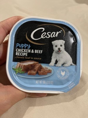 What kind of dog is the cesar puppy sales