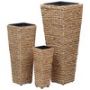vidaXL Garden Planters 3 pcs Water Hyacinth Black - 4 of 4