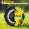 Vizari Mini National Team Soccer Balls - image 4 of 4