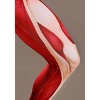 HalloweenCostumes.com S Women Attack on Titan Female Titan Women's Costume | Anime Costumes, Red/Pink - 3 of 4