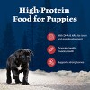 Blue Buffalo Wilderness Red Meat Flavored for Puppy Dry Dog Food - 24lbs - image 4 of 4