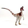 Beasts of the Mesozoic: Suskityrannus Hazelae - 4 of 4