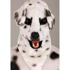 HalloweenCostumes.com One Size Fits Most   Adults Dalmatian Suit With Mouth Mover Mask, Black/White - 2 of 4