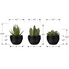 Gulches Oasis 6 in H Artificial Succulent Tree in Black Pot Green 3 Pack - 2 of 4