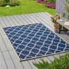SKRAN Indoor Outdoor Rug Waterproof 5'3"X 7'6", Outdoor Carpet for Bed Room,Living Room,Dining Room,Deck,Patio Rug for Front Porch Decor,Non Shedding - 2 of 4