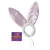 Forum Novelties Deluxe Satin Plush Costume Bunny Ears - 2 of 3