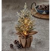 tagltd Light-Up LED Pine Tree With Burlap Pot Mini Christmas Tree 6Hr Timer Indoor Use Christmas Xmas Holiday For Tabletop Desktop - 2 of 2