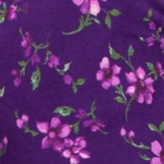 radiant purple soft floral