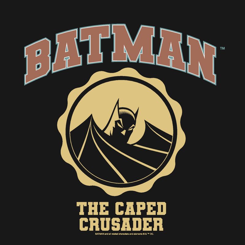 Batman Collegiate Style Logo Youth Black Graphic Hoodie, 2 of 4