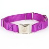 Country Brook Petz Heavyduty Nylon Martingale with Premium Buckle - 3 of 4