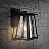 Stern Outdoor Wall Lantern - PLT4004 - Clear/Black - Safavieh - 3 of 4