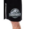 Jurassic World Mens' Dinosaur Film Movie Park Logo Sleep Pajama Shorts Black - 2 of 4