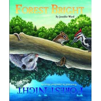 Forest Bright, Forest Night - (Sharing Nature with Children Books) by  Jennifer Ward (Paperback)