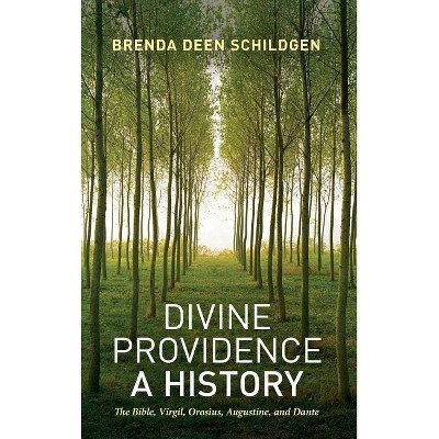 Divine Providence - by  Brenda Deen Schildgen (Hardcover)