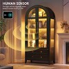 Vlsrka arched glass-door storage cabinet with LED lights,Black - 3 of 4