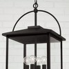 Capital Lighting Bryson 4 - Light Pendant in  Black - 3 of 4