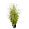 Green/Brown Switchgrass Potted - 4 of 4