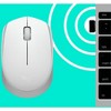 Logitech M170 Mouse - Optical - Wireless - Radio Frequency - 2.40 GHz - Off White - USB - Symmetrical - 3 of 4