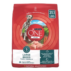 Purina ONE SmartBlend Large Breed Puppy Natural Chicken Flavor Dry Dog Food - 1 of 4