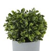 Unique Bargains Artificial Plants Plastic Green 3.54"x3.54"x5.91" 1 Pcs - 4 of 4