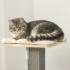 YOOCOZZ PawHut Cat Tree, with Pillow-Covered Perches, Spinning Toy, Scratching Posts, Cat Condo and Ladder-Natural - 4 of 4