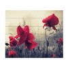 Trademark Fine Art -Philippe Sainte-Laudy 'Red For Love' Multi Panel Art Set - 2 of 4