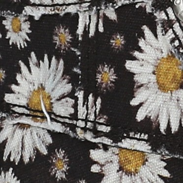 black daisy canvas