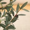 Kazeila Artificial Plastic Olive Tree in Pot, Pre Potted Faux Greenry Olive Tree for Home Decor - 4 of 4