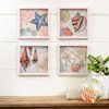 The Lakeside Collection Framed Art Themed Decor Butterfly Hummingbird Or Seashells - Seashells - 2 of 2