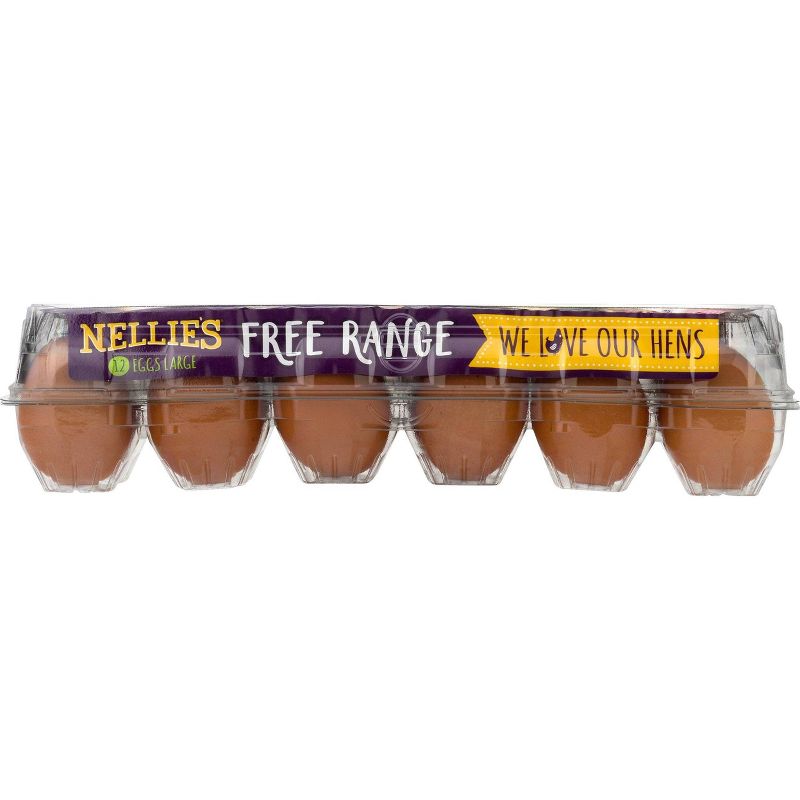 Nellie's Free-Range Grade A Large Brown Eggs - 12ct, 3 of 4