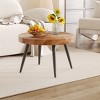 Sapphtopaz Modern Wood Coffee Table Natural Wood Grain Texture Home Decor Small Side Table Center Table for Living Room - 2 of 4